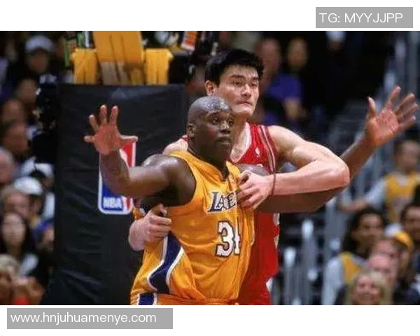 姚明与奥尼尔职业生涯数据对比分析谁才是篮球巨星之巅的真正王者